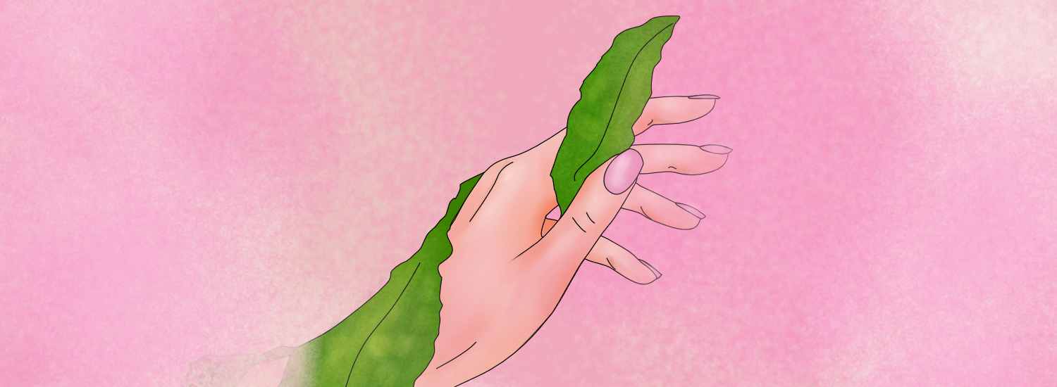 dłoń trzymająca algi